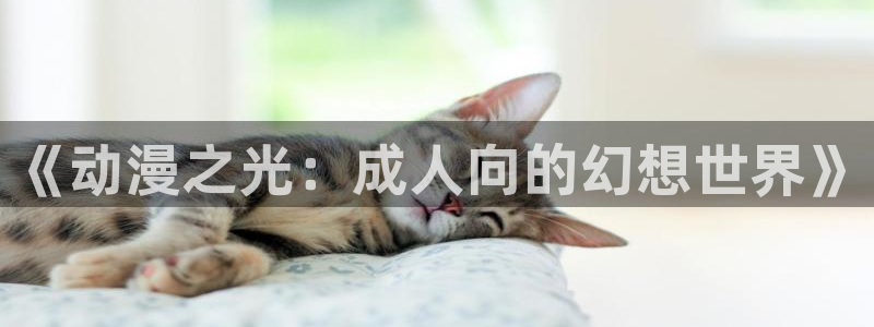 行业资讯